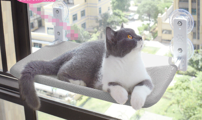 Hamac de Fenêtre avec Ventouse pour Chats - Confort et Style