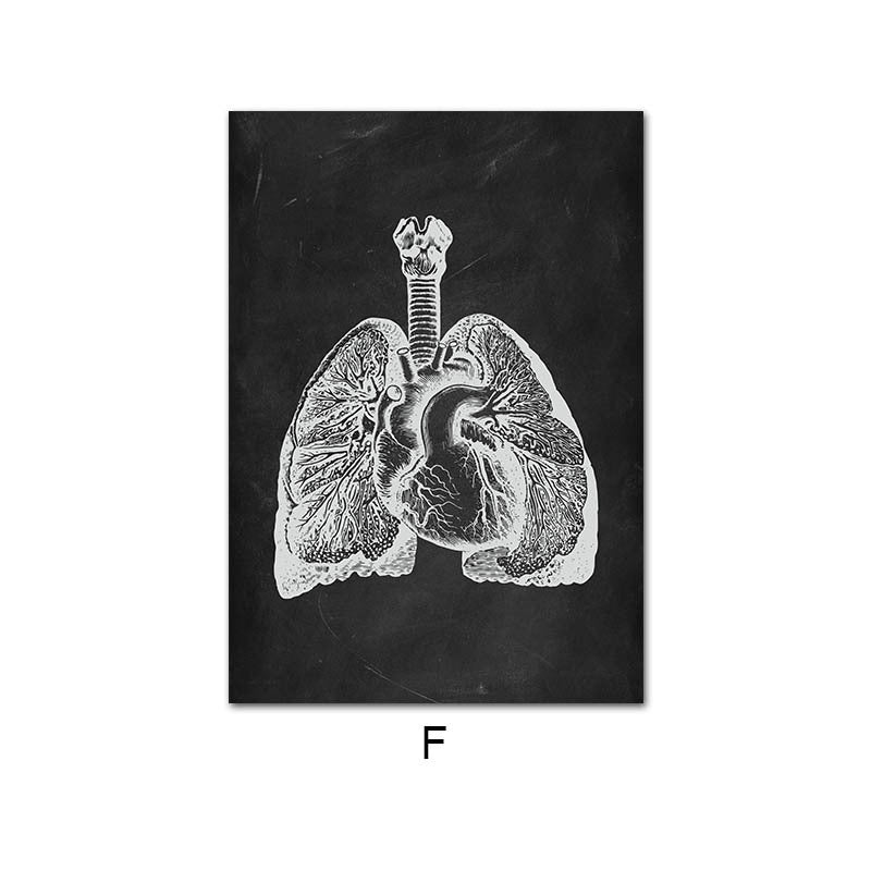 Peinture sur Toile de l'Anatomie Humaine