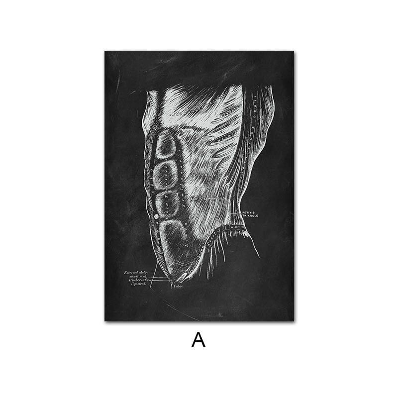 Peinture sur Toile de l'Anatomie Humaine