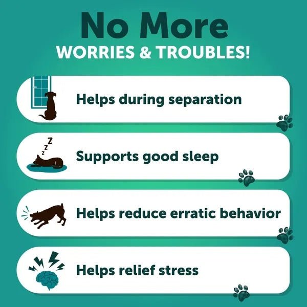 Friandises Calmantes au Chanvre pour Chiens - Soulagement de l'Anxiété avec Huile de Chanvre, Curcuma, Valériane et Gingembre - Allomarc.com