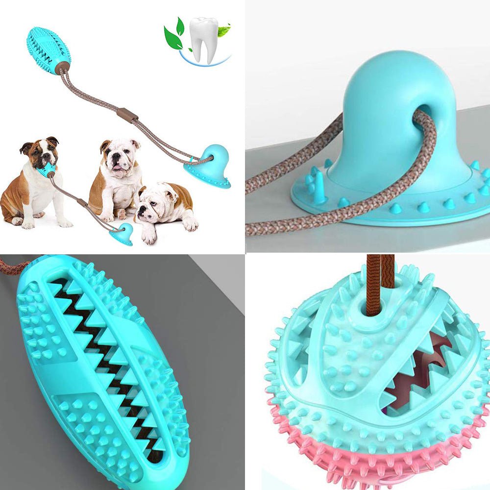 Jouet pour Chien en Silicone avec Ventouse – Balle Interactive pour Chiens - Allomarc.com