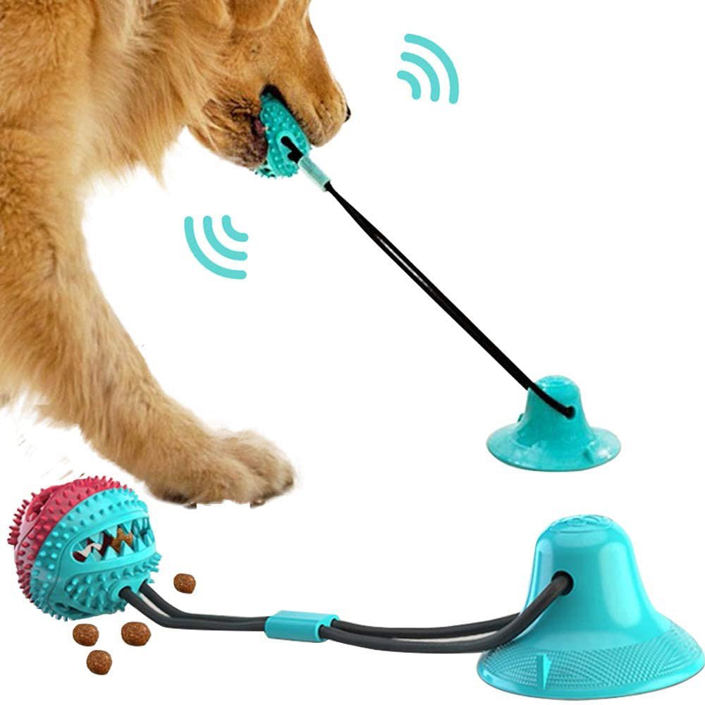 Jouet pour Chien en Silicone avec Ventouse – Balle Interactive pour Chiens - Allomarc.com