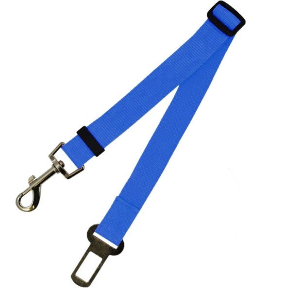 Laisse Fixe en Polyester pour Chien - Allomarc.com
