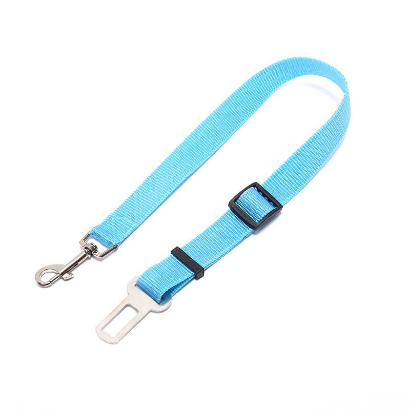 Laisse Fixe en Polyester pour Chien - Allomarc.com