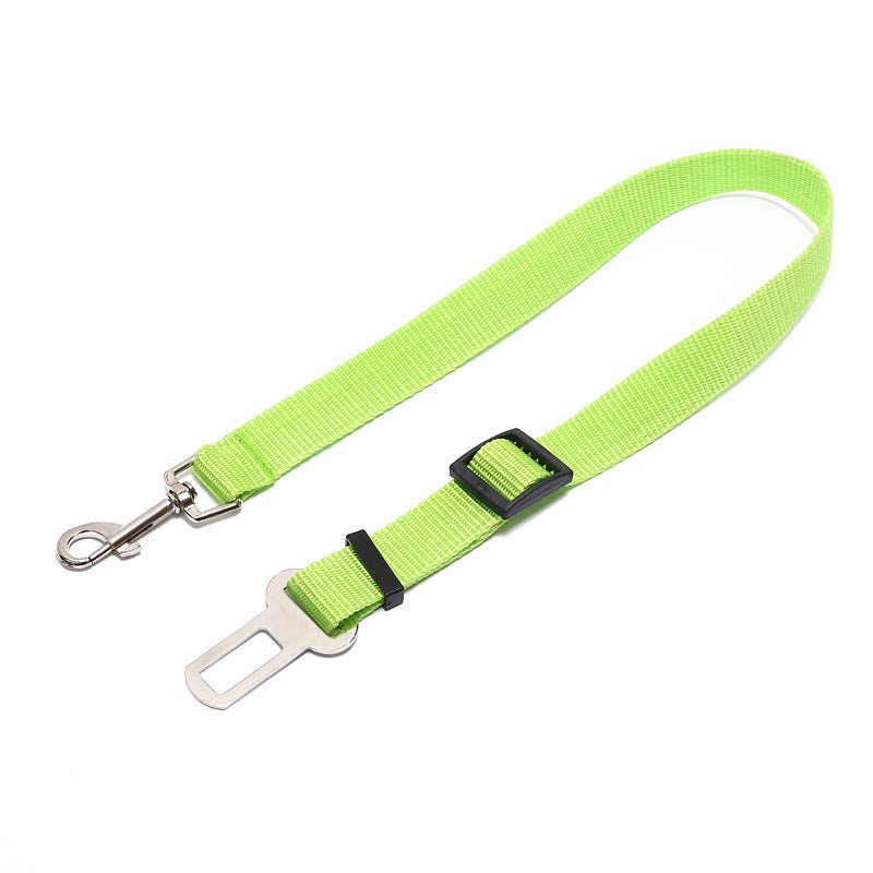 Laisse Fixe en Polyester pour Chien - Allomarc.com