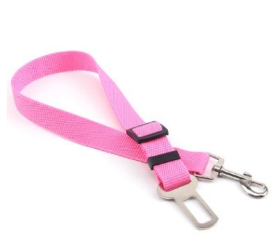 Laisse Fixe en Polyester pour Chien - Allomarc.com