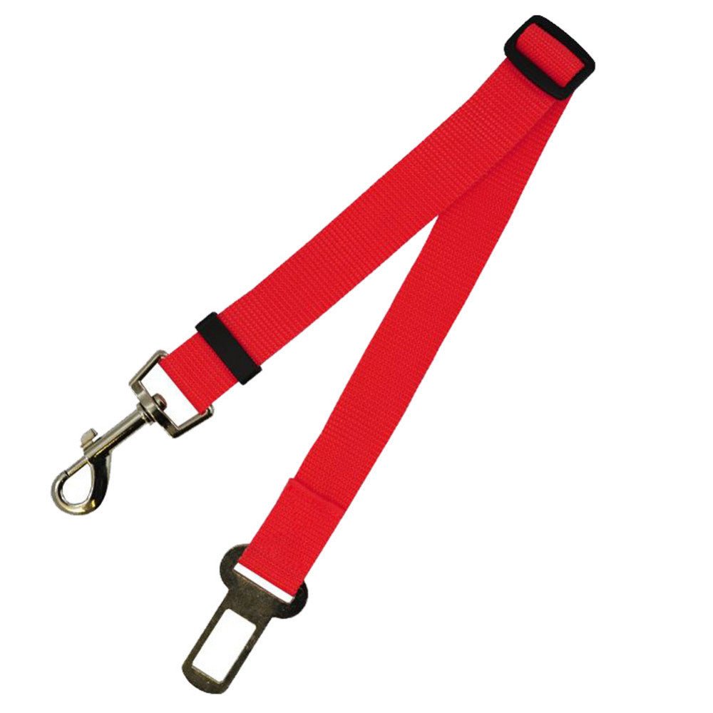 Laisse Fixe en Polyester pour Chien - Allomarc.com