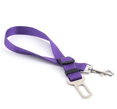 Laisse Fixe en Polyester pour Chien - Allomarc.com