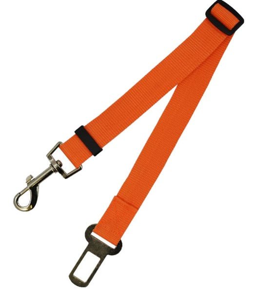 Laisse Fixe en Polyester pour Chien - Allomarc.com
