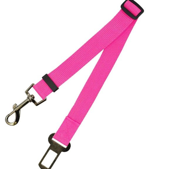 Laisse Fixe en Polyester pour Chien - Allomarc.com