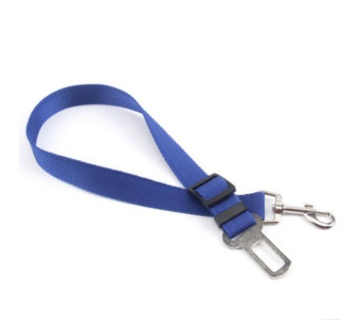 Laisse Fixe en Polyester pour Chien - Allomarc.com