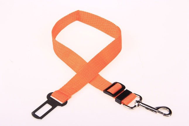 Laisse Fixe en Polyester pour Chien - Allomarc.com
