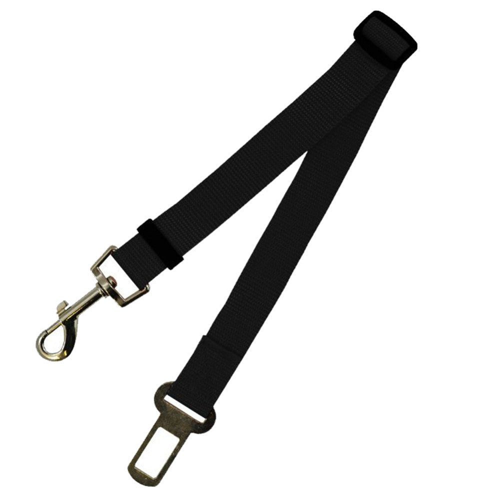 Laisse Fixe en Polyester pour Chien - Allomarc.com