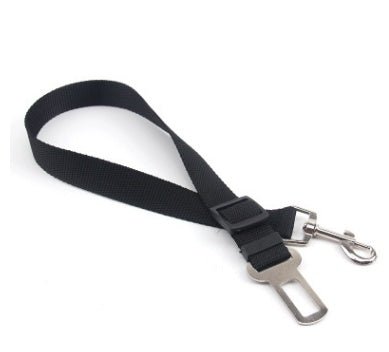 Laisse Fixe en Polyester pour Chien - Allomarc.com
