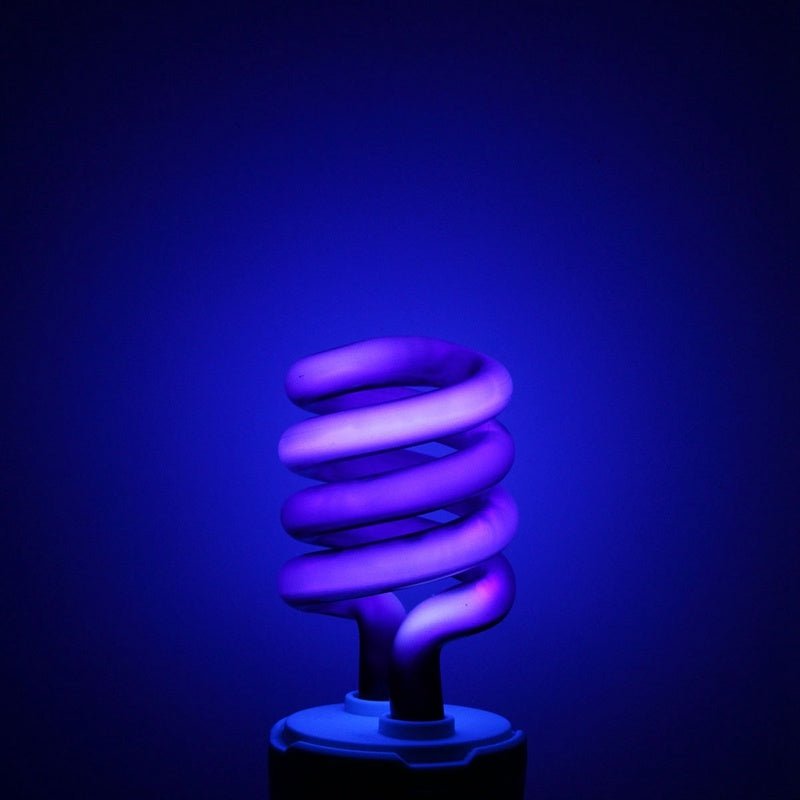 Lampe piège à insectes écoénergétique violette - Allomarc.com