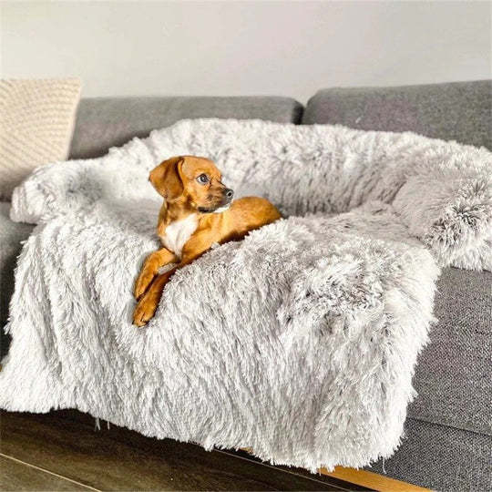 Lit pour Chien Confortable et Durable - Allomarc.com