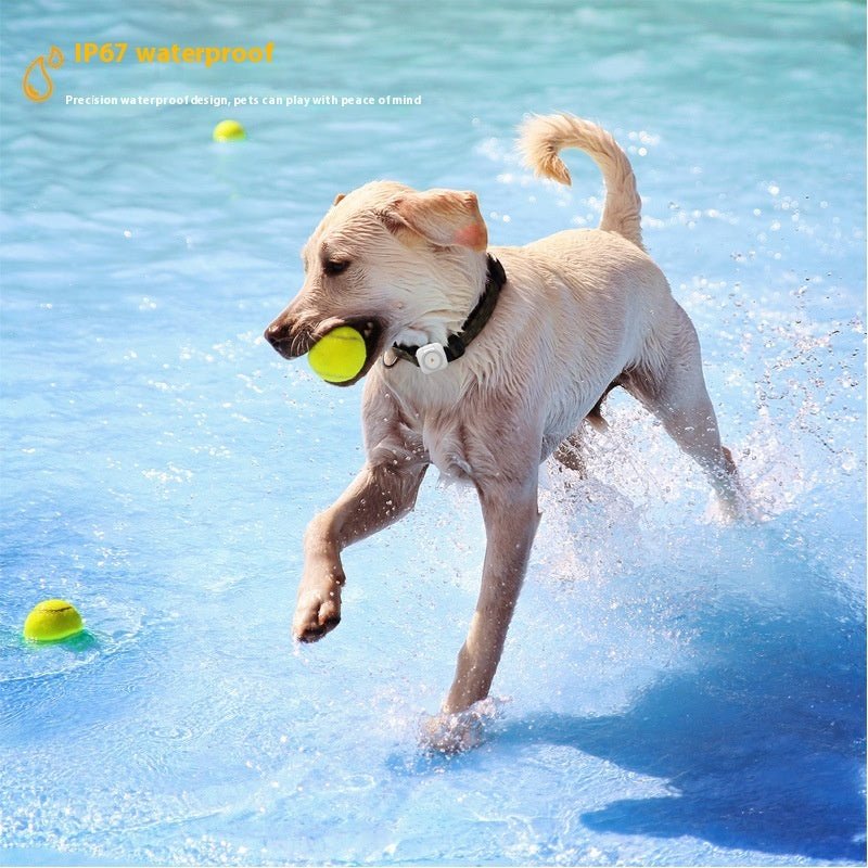 Localisateur GPS Global pour Animaux de Compagnie avec Surveillance de Santé - Allomarc.com