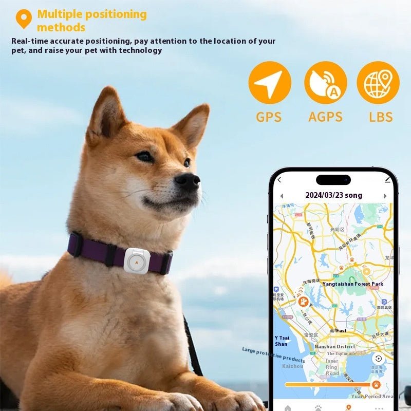 Localisateur GPS Global pour Animaux de Compagnie avec Surveillance de Santé - Allomarc.com