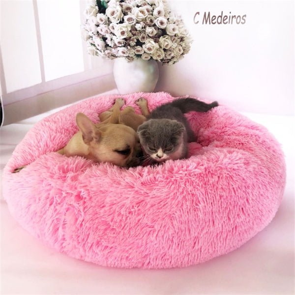 Matelas Rond Douillet pour Chats - Allomarc.com