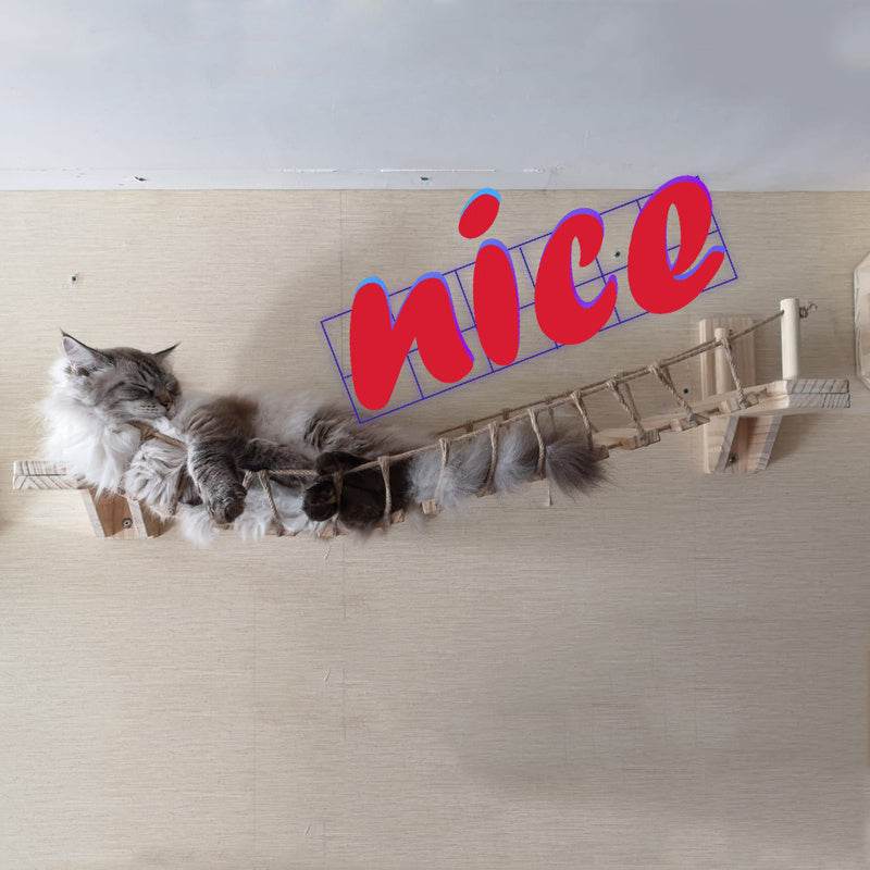 Mobilier mural pour chats en pin - Allomarc.com