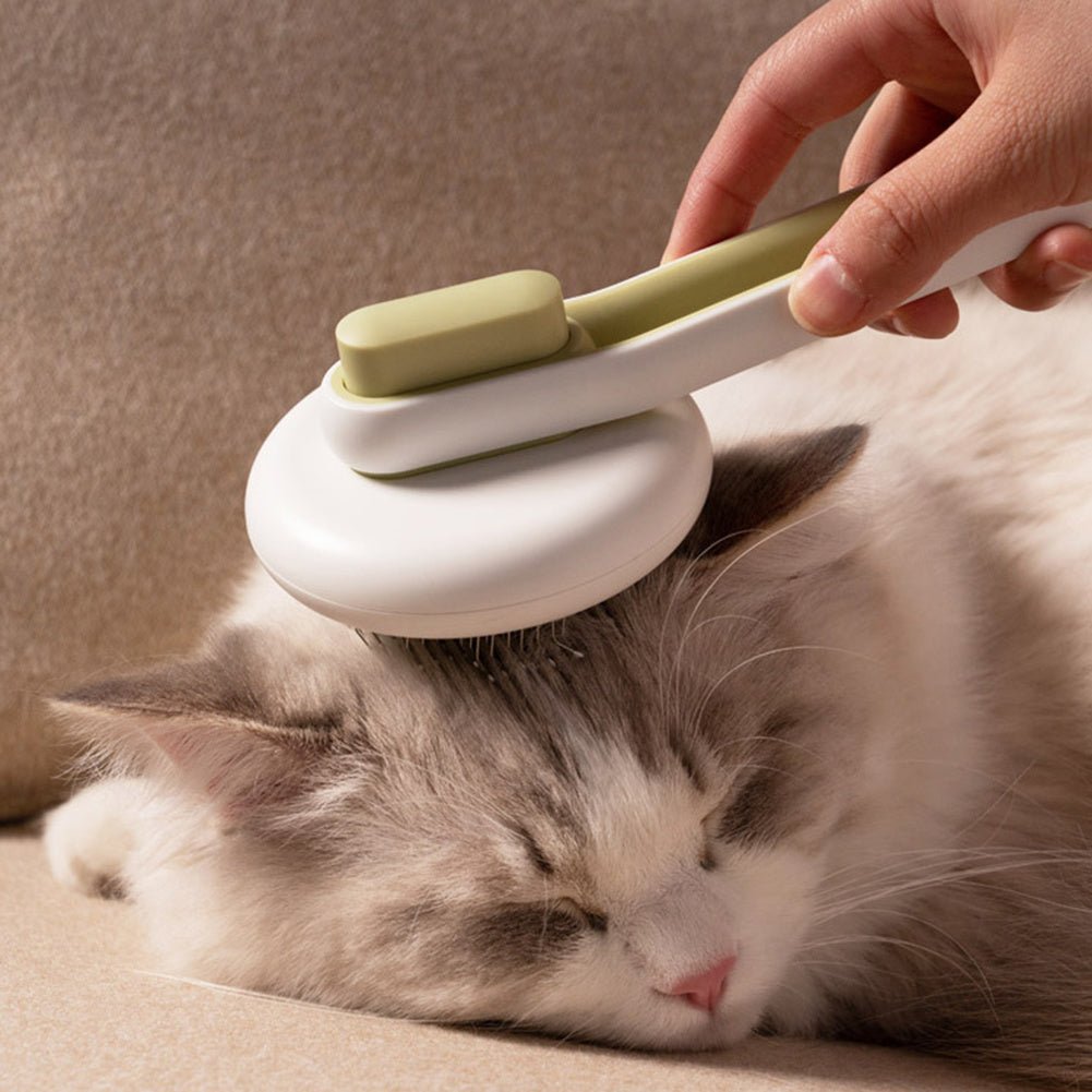Outil de Toilettage Automatique pour Chiens et Chats - Brosse à Poils avec Massage - Allomarc.com