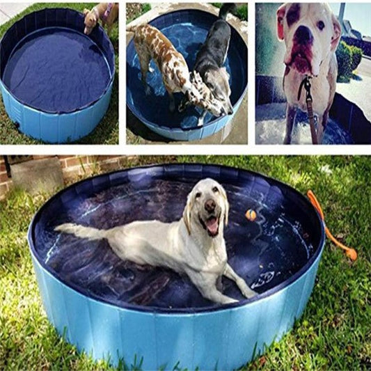 Piscine Pliante pour Chien – Grande Taille - Allomarc.com