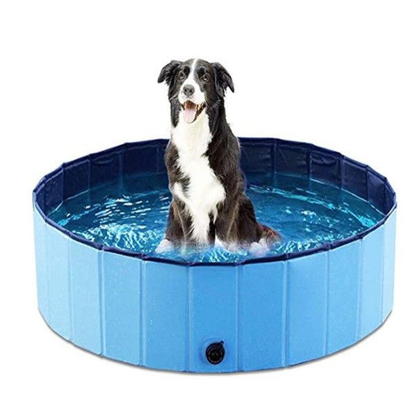 Piscine Pliante pour Chien – Grande Taille - Allomarc.com