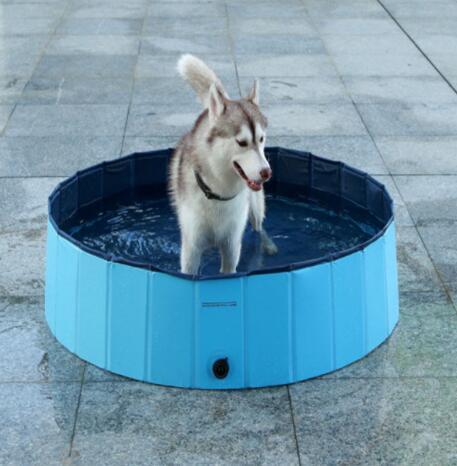 Piscine Pliante pour Chien – Grande Taille - Allomarc.com