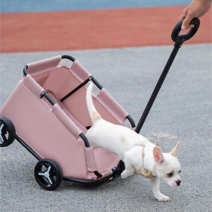 Poussette pour Animaux de Compagnie - Chariot Portable pour Chiens et Chats - Allomarc.com