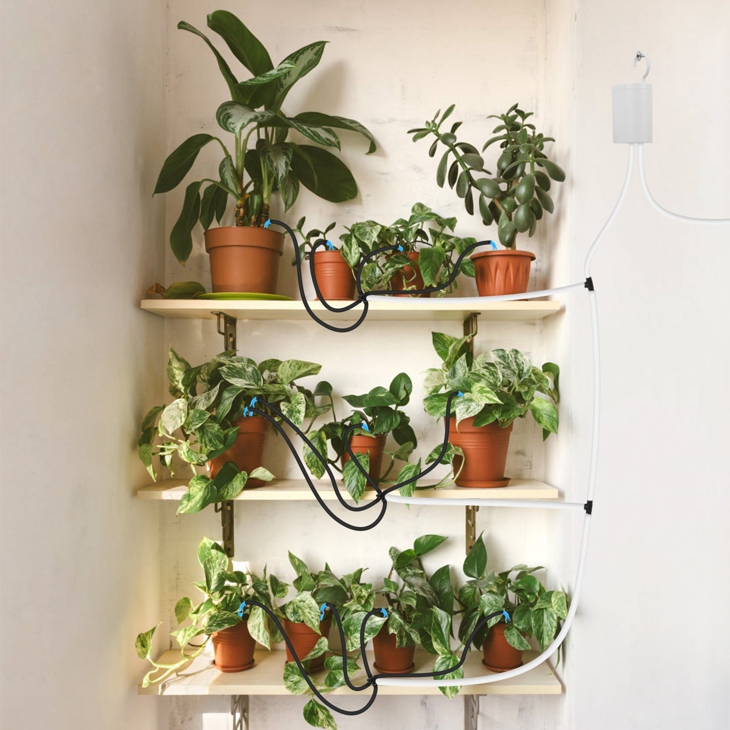 Système d'Arrosage Automatique avec Minuteur pour 12 Plantes - Allomarc.com