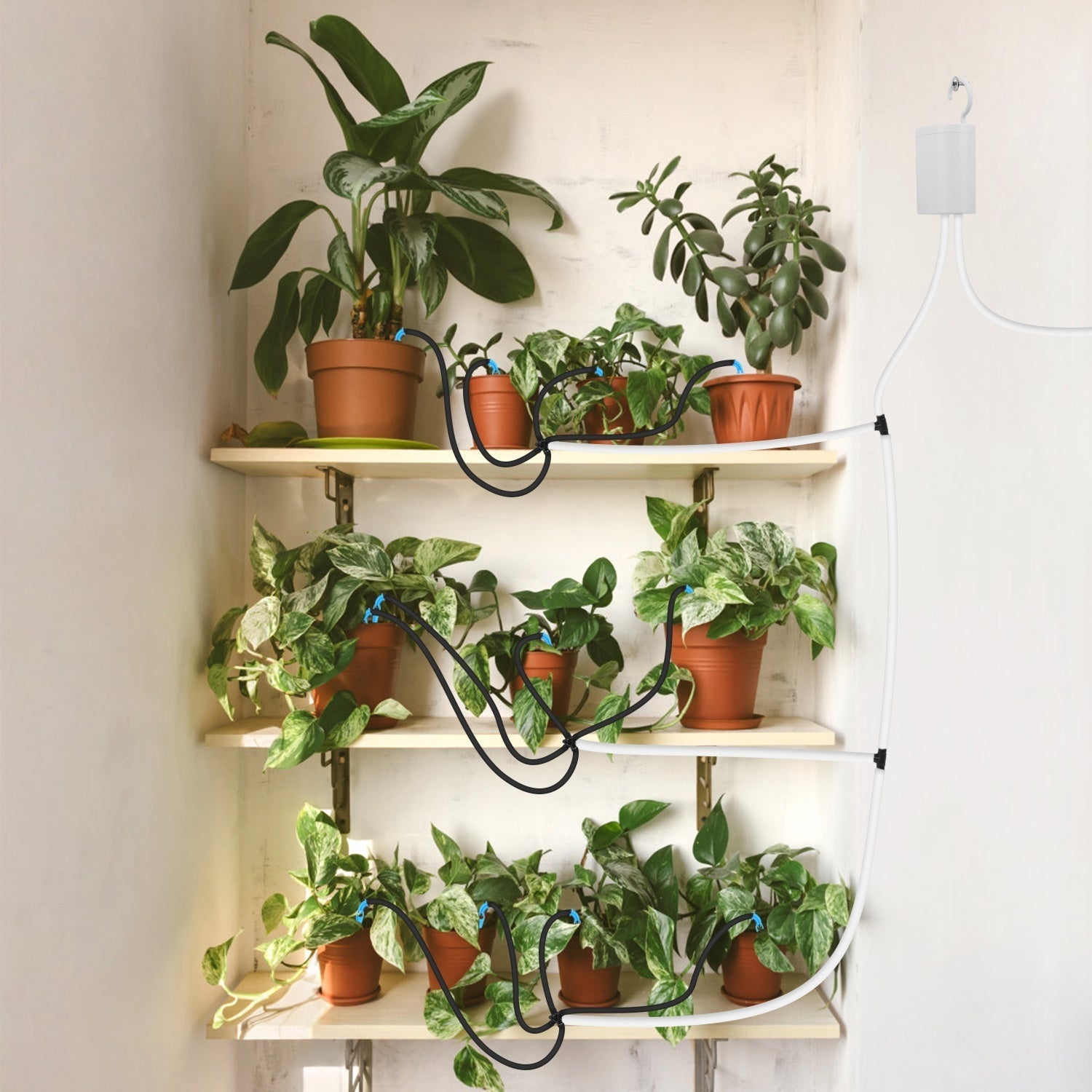 Système d'Arrosage Automatique avec Minuteur pour 12 Plantes - Allomarc.com