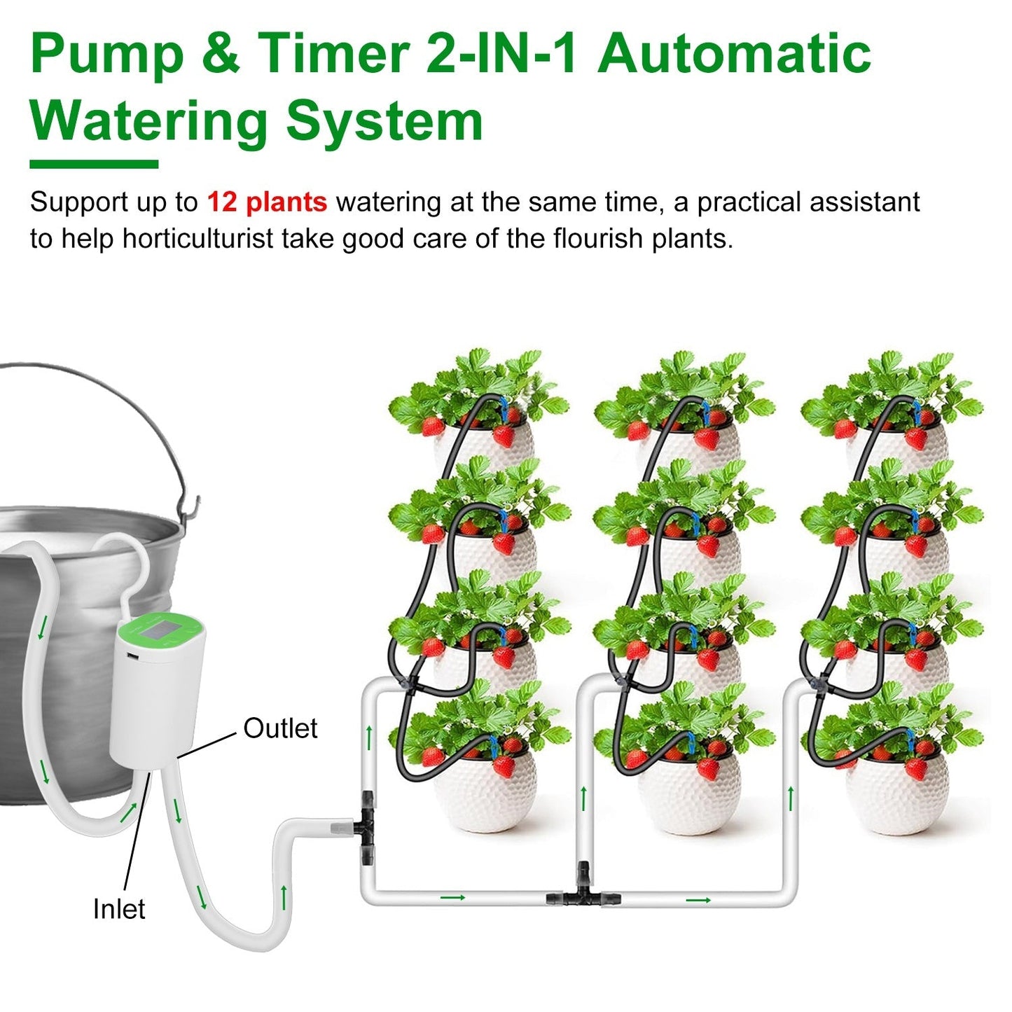 Système d'Arrosage Automatique avec Minuteur pour 12 Plantes - Allomarc.com