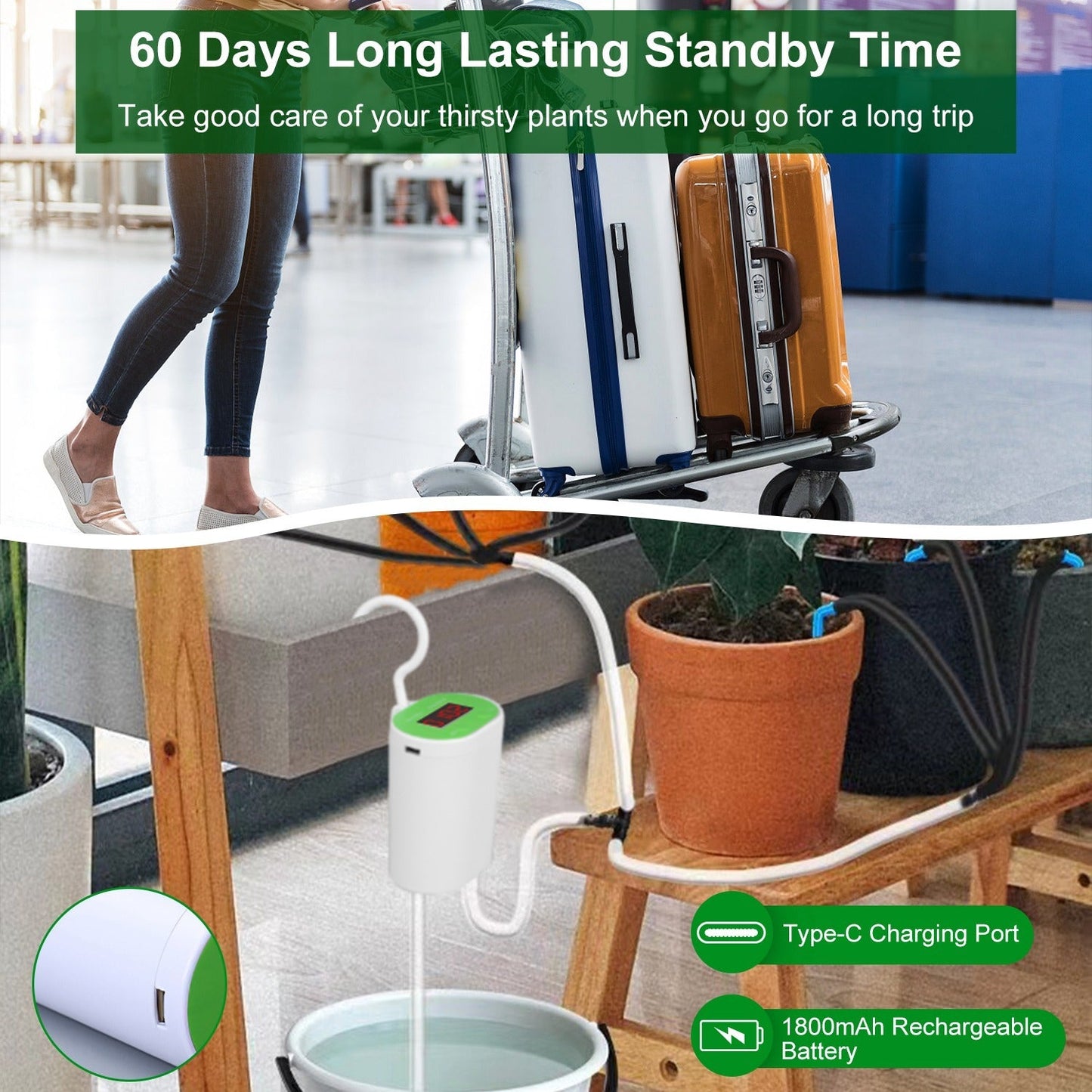 Système d'Arrosage Automatique avec Minuteur pour 12 Plantes - Allomarc.com