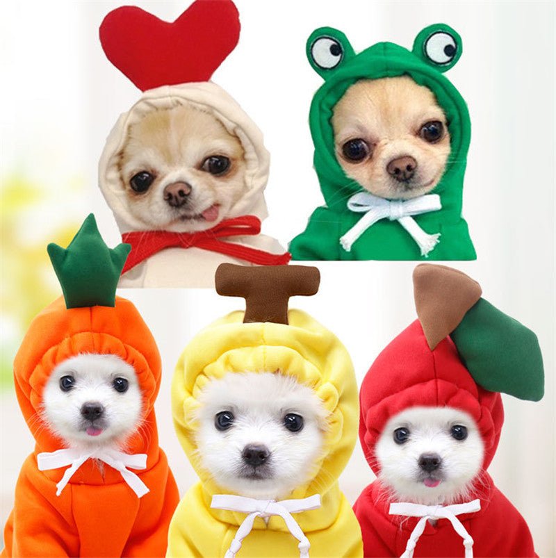 Vêtements Choux Fleurs pour Chiens Petits - Hoodies Hiver Fleece - Allomarc.com