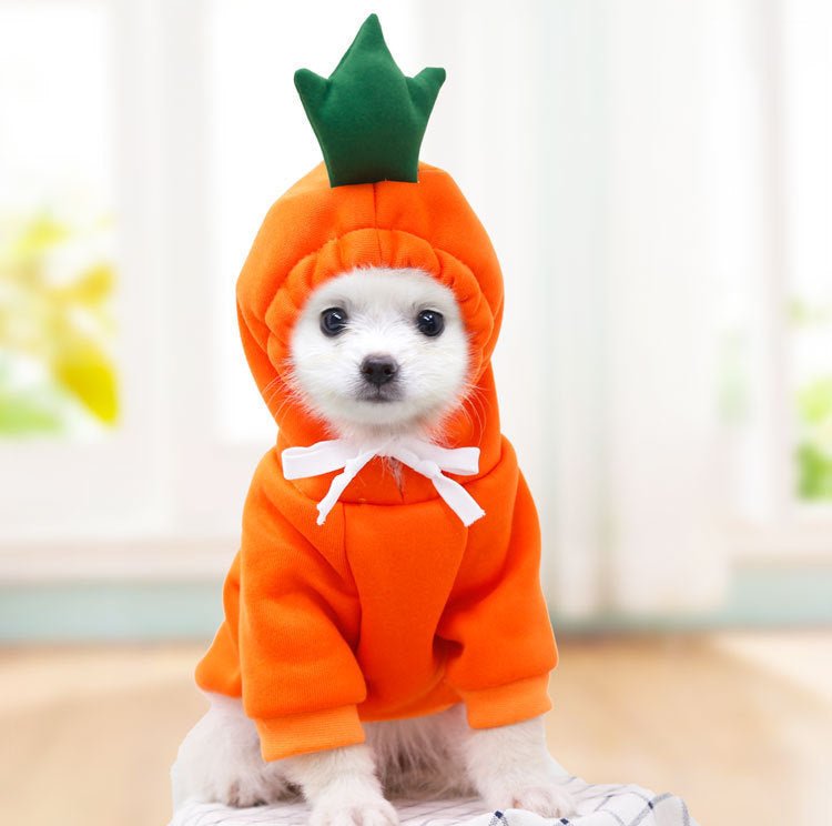Vêtements Choux Fleurs pour Chiens Petits - Hoodies Hiver Fleece - Allomarc.com