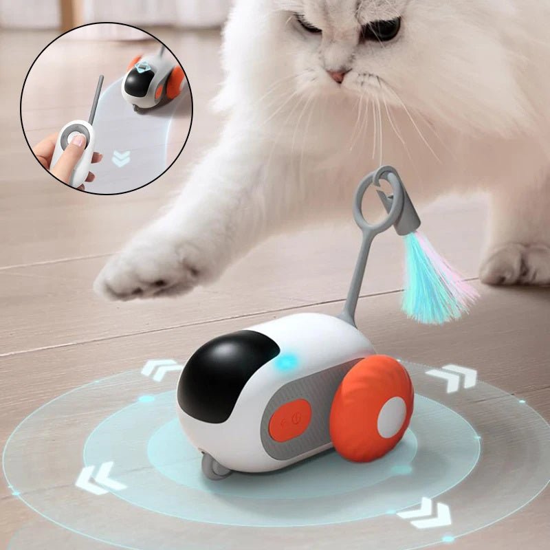 Voiture interactive pour chat à télécommande - Jouet autonome USB - Allomarc.com