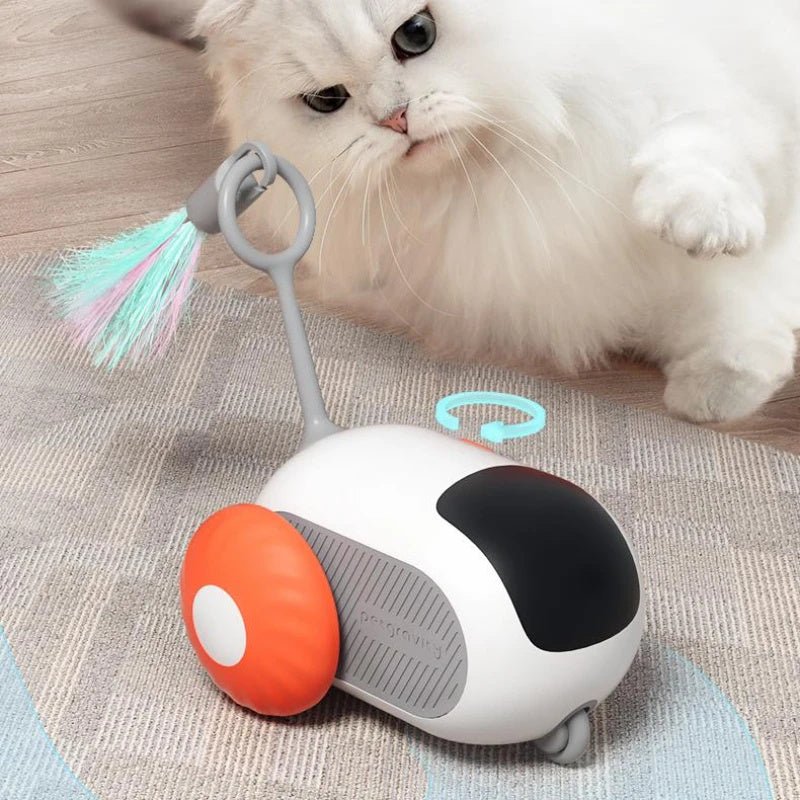 Voiture interactive pour chat à télécommande - Jouet autonome USB - Allomarc.com